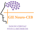 GIE Neuro-CEB