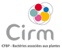 CIRM-CFBP