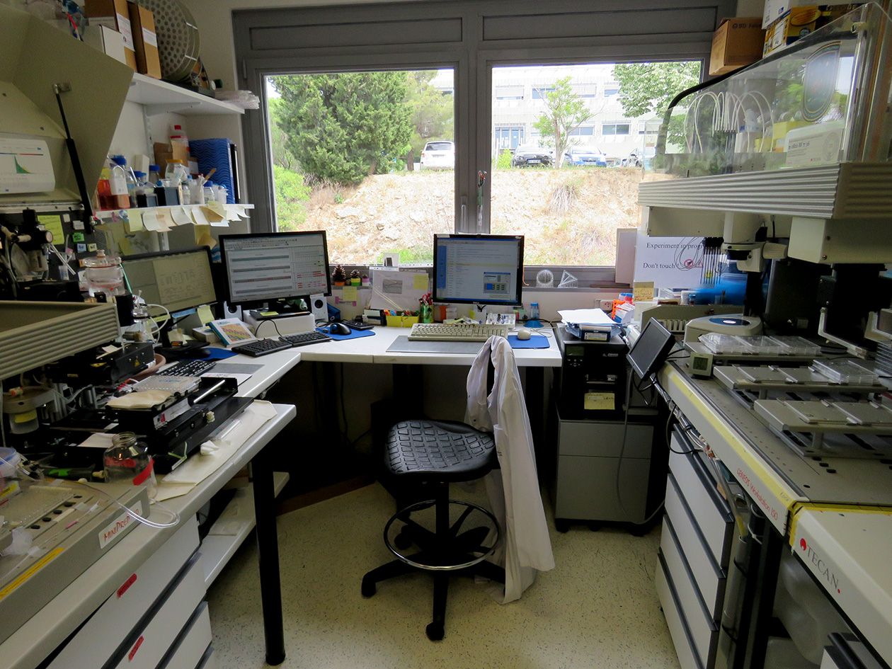 <hr>Plateforme Génomique fonctionnelle de C. elegans.