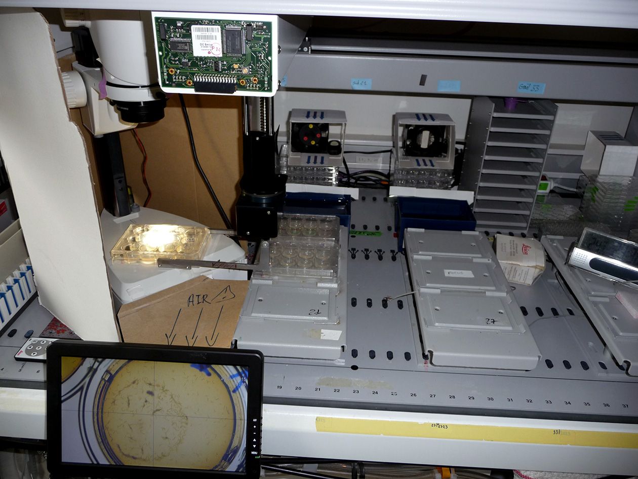 <hr>Workstation Tecan Genesis convertie en système de prise d’images pour les tests de survie chez le nématode.