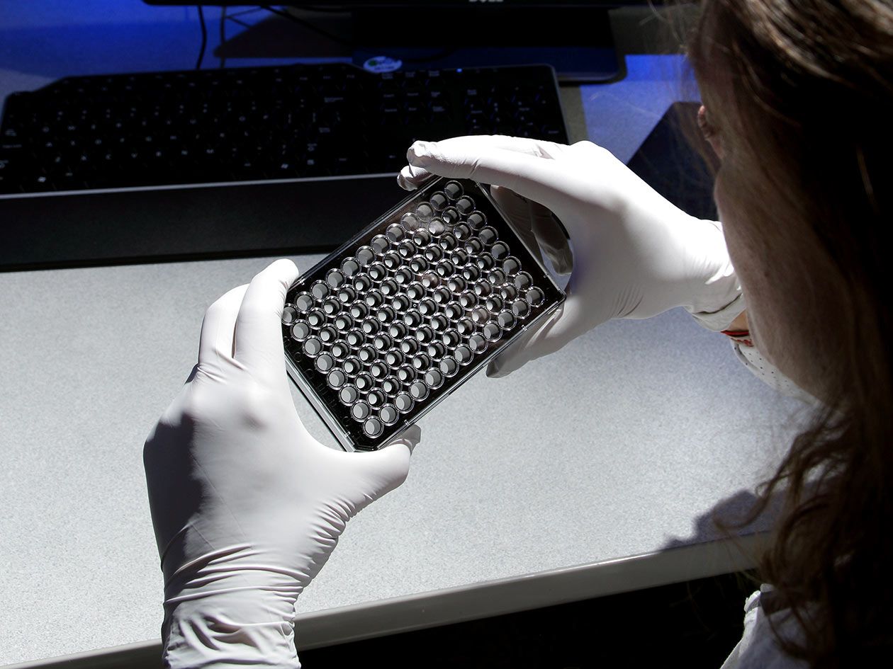 <hr>Manipulation de microplaques sur l’instrumentation HCS.