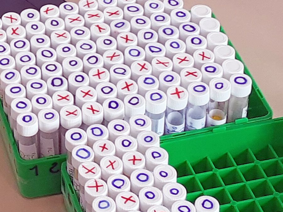 <hr>Synthèse de molécules et chimie médicinale.