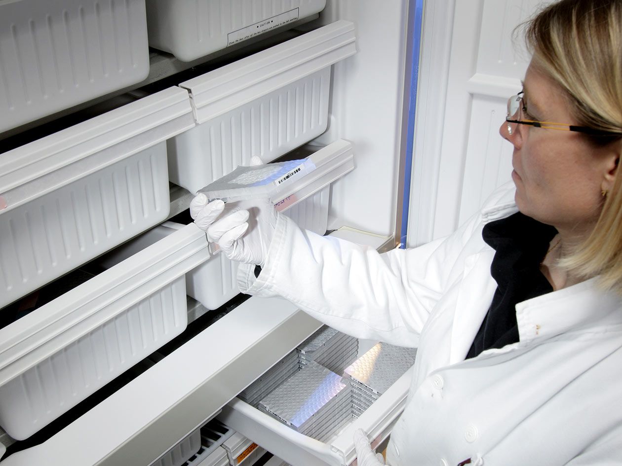 <hr>Chimiothèques stockées à -20°C.