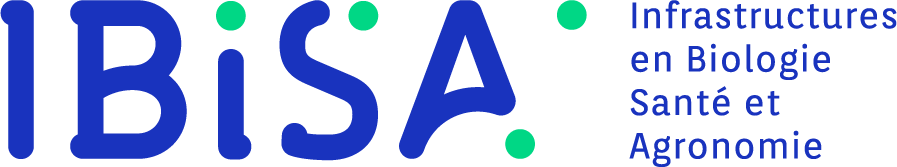 Logo IBISA