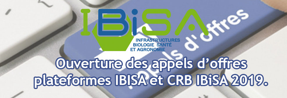 Appels d'offres IBISA