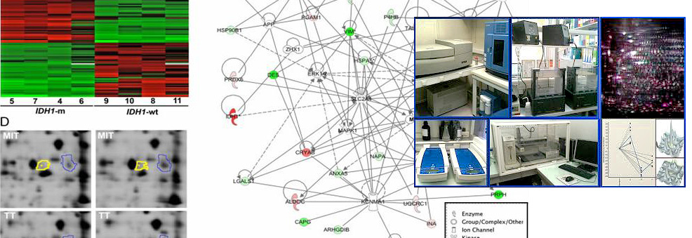 Plateforme Protéomique Paris Descartes, Paris - Protéomique