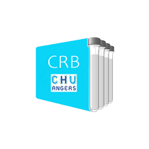 CRB-CHU Angers