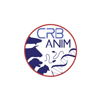 CRB-Anim