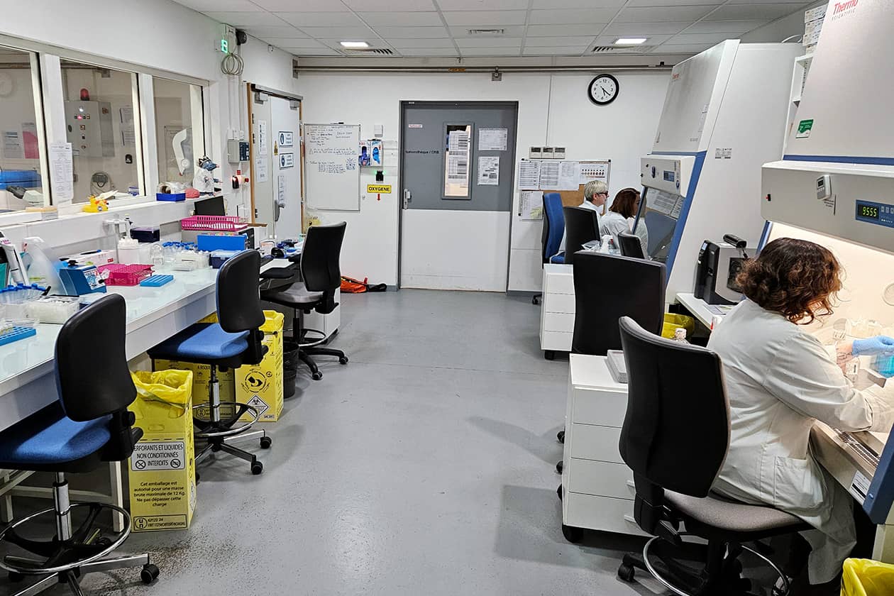 <hr>Laboratoire du CRB avec postes de sécurité microbiologique.