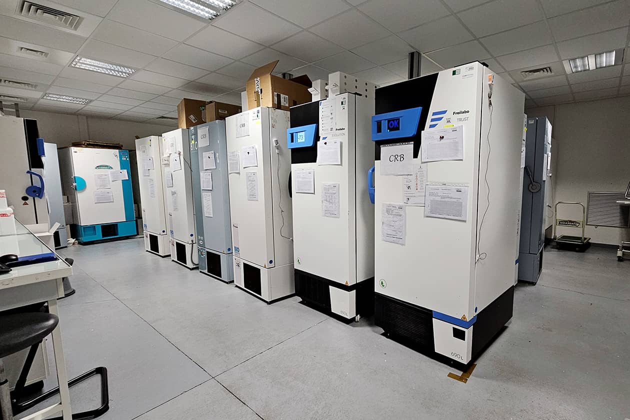 <hr>Salle avec congélateurs à -80 °C.