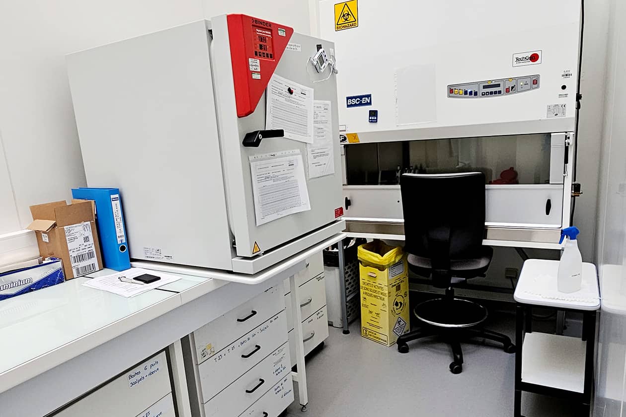 <hr>Laboratoire de culture L2 avec PSM et étuve à 37°C sous CO2.
