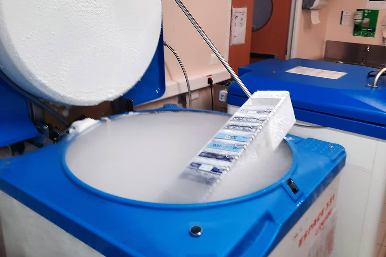 <hr>Stockage d’échantillons en cuves d’azote liquide.