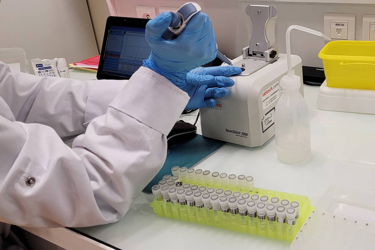 <hr>Dosage d'extractions d'ADN au NanoDrop.