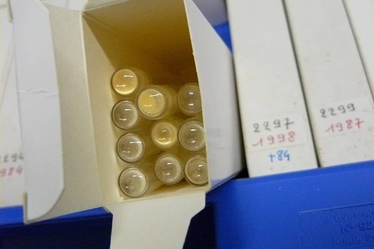 <hr>Ampoules de lyophilisation contenant des souches bactériennes. © INRAE, P. Portier.