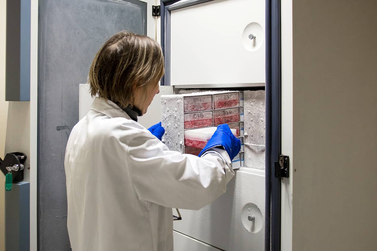 <hr>Stockage d’échantillons issus de la biothèque.