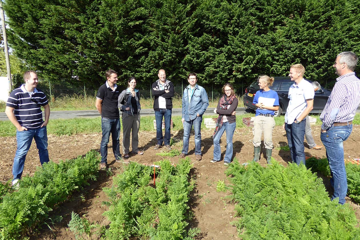 <hr>Évaluation d’essais de variétés de carotte en agriculture biologique. © E. Geoffriau.