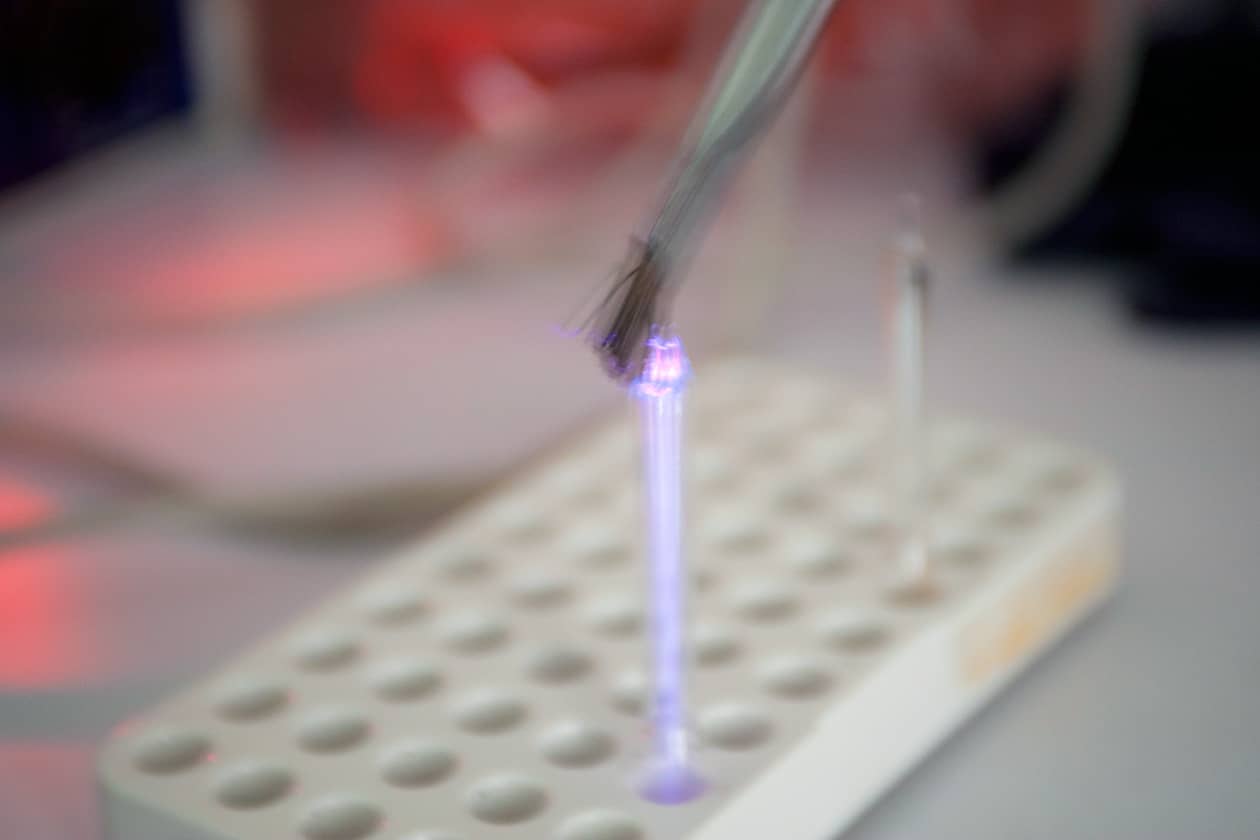 <hr>Test de conformité des ampoules de levures.