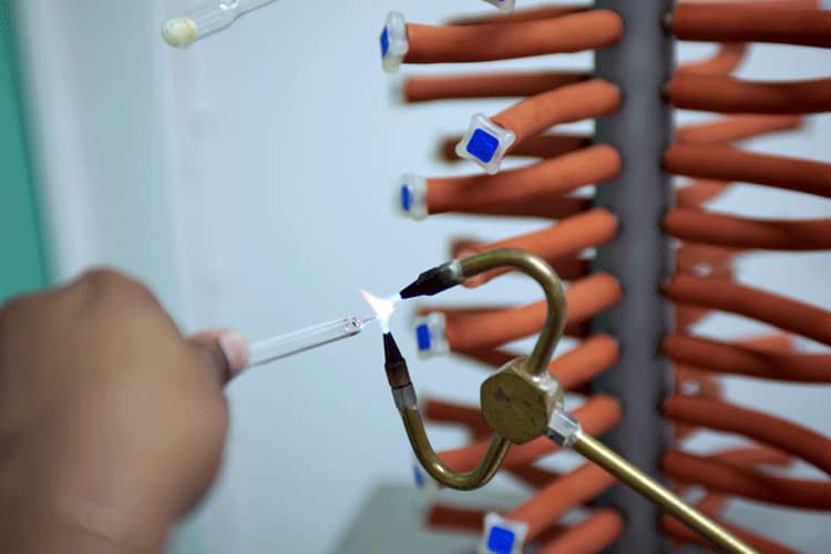 <hr>Scellage des ampoules à après lyophilisation.