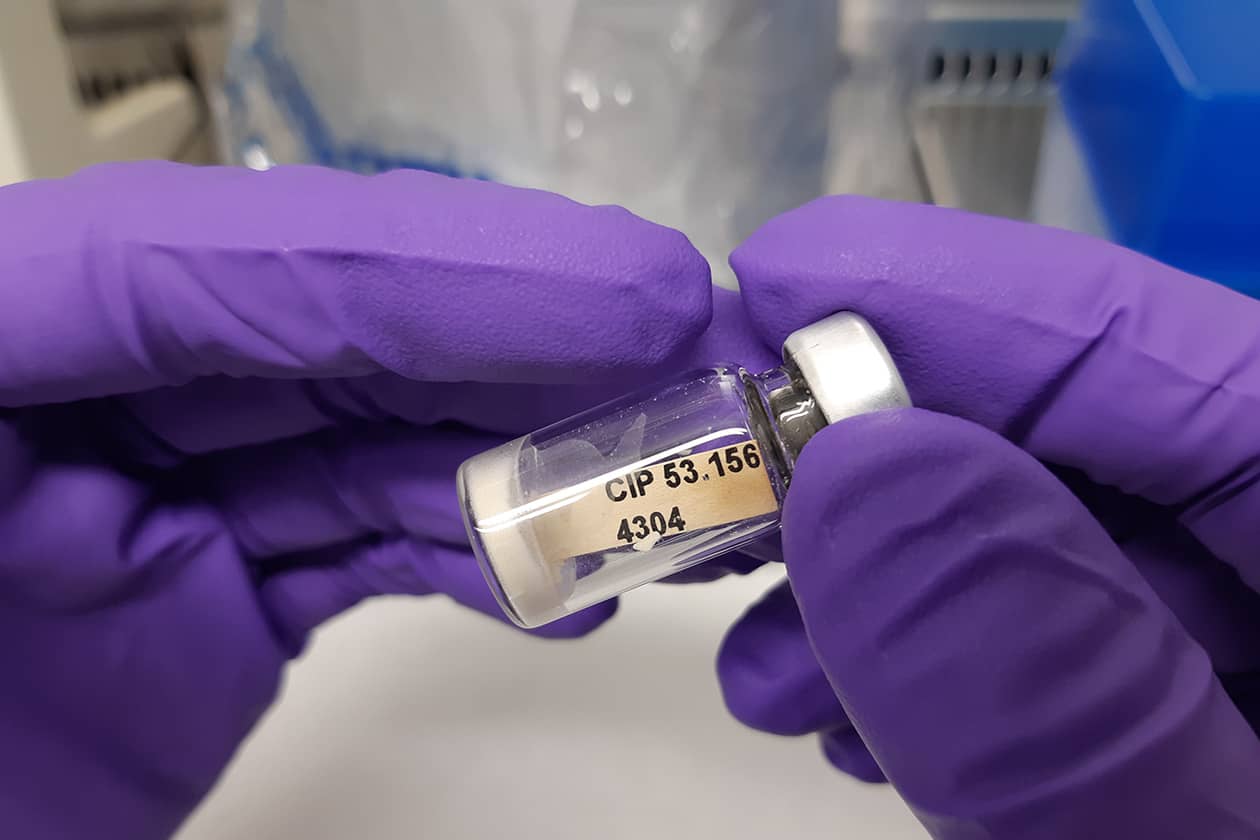 <hr>Flacon contenant une souche bactérienne lyophilisée conservée au sein de la collection CIP. © Institut Pasteur.