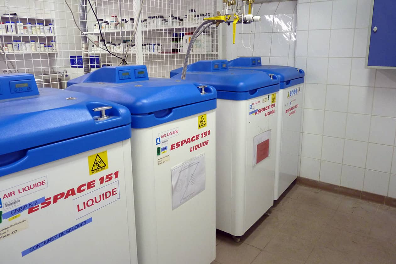 <hr>Conteneurs d’azote liquide pour la cryopréservation d’échantillons d’origine humaine dans les collections de la biobanque CHIP. © Institut Pasteur.