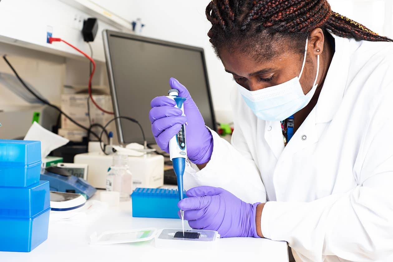 <hr>Expérience au centre de ressources biologiques de l’Institut Pasteur (CRBIP). © Institut Pasteur.