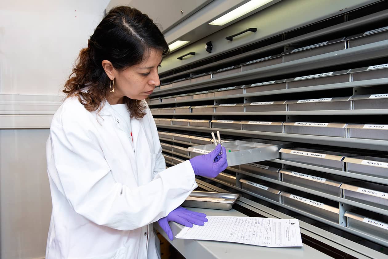 <hr>Sortie de souches lyophilisées du souchier de la collection CIP, qui préserve plus de 13 000 souches bactériennes appartenant à 5 500 espèces. © Institut Pasteur.