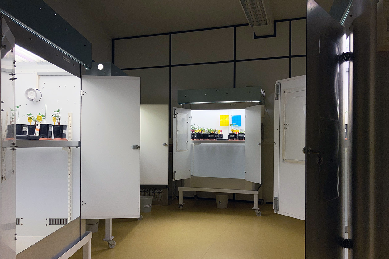 <hr>Salle de culture avec armoires.