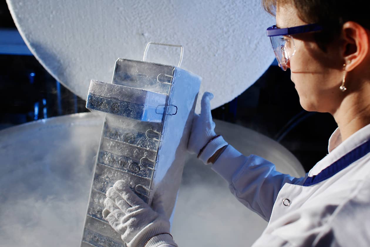 <hr>Cryoconservation de cellules et de tissus dans des vapeurs d’azote. ©CRB Ferdinand Cabanne, CHU de Dijon.