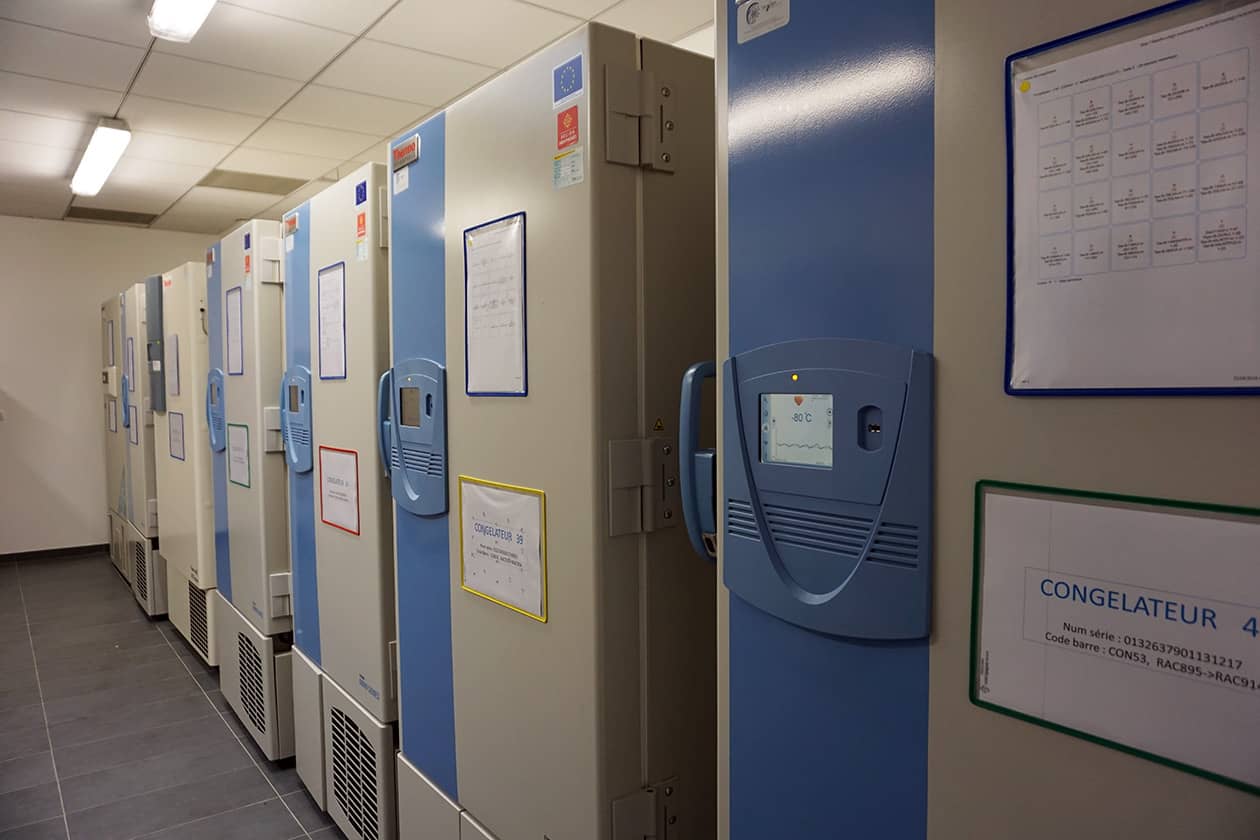 <hr>Stockage de banques génomiques à -80°C.
