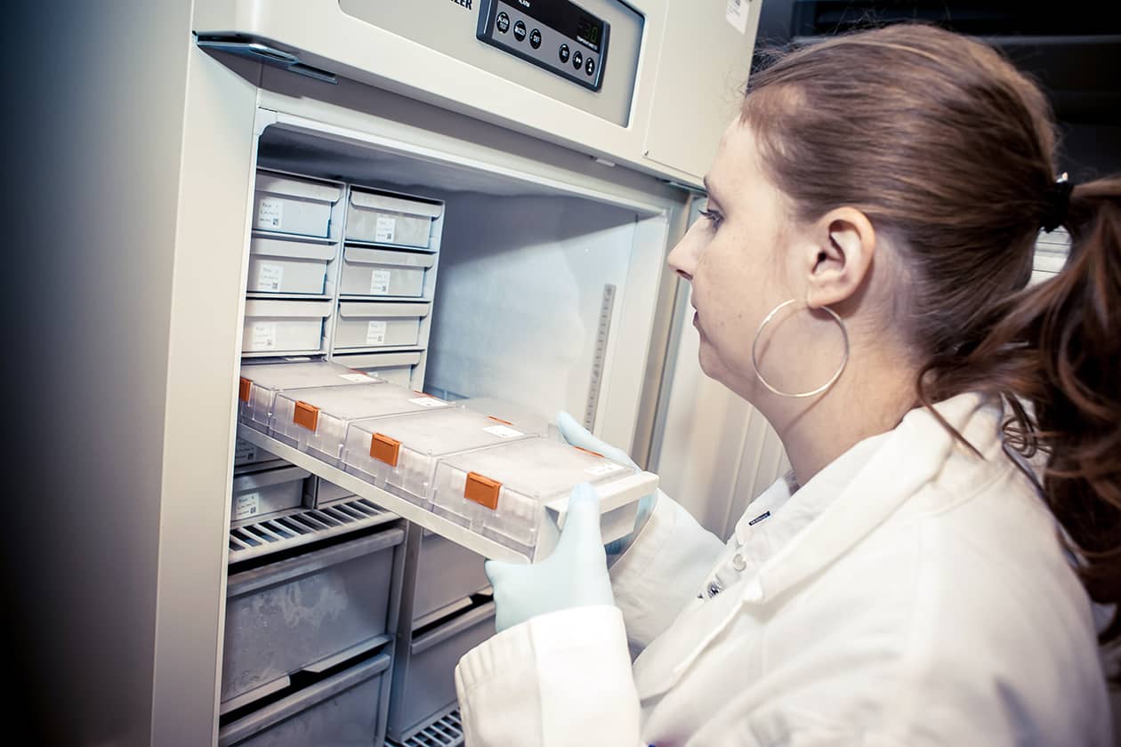 <hr>Les échantillons sont conditionnés dans une variété de contenants, de la plaque Micronic aux tubes de 2, 5, 15 ou 50 mL.