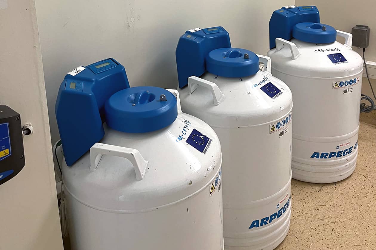 <hr>Cuves d’azote liquide.