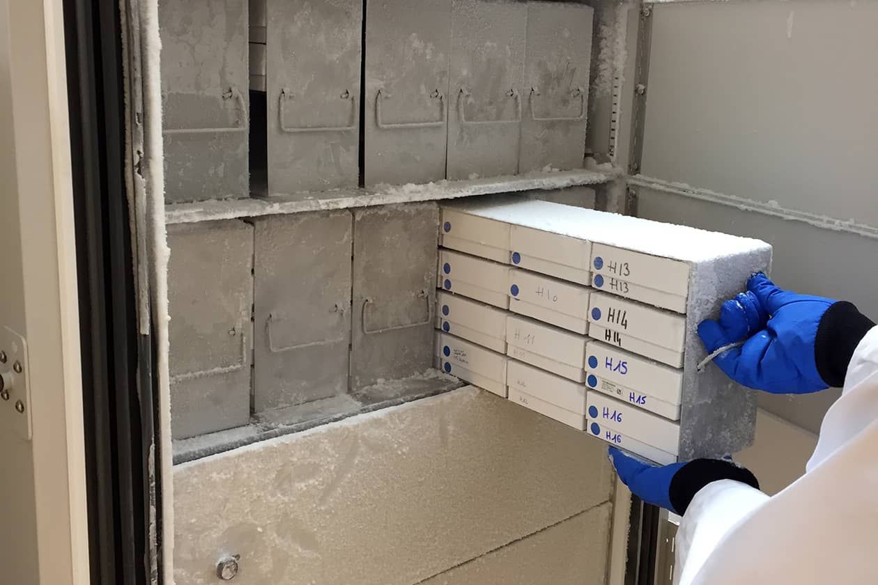 <hr>Boites d’échantillons stockés à -80°C.