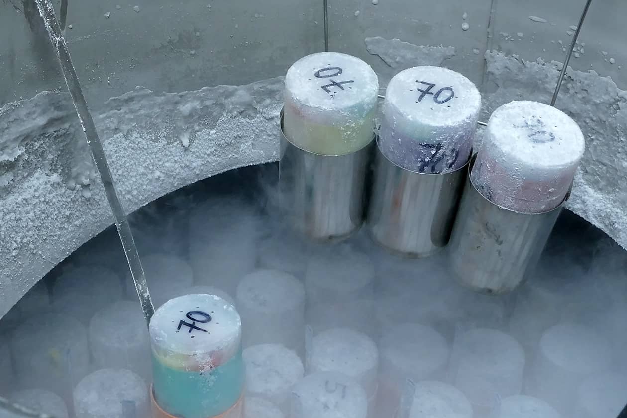 <hr>Echantillons biologiques stockés sous vapeur d’azote.
