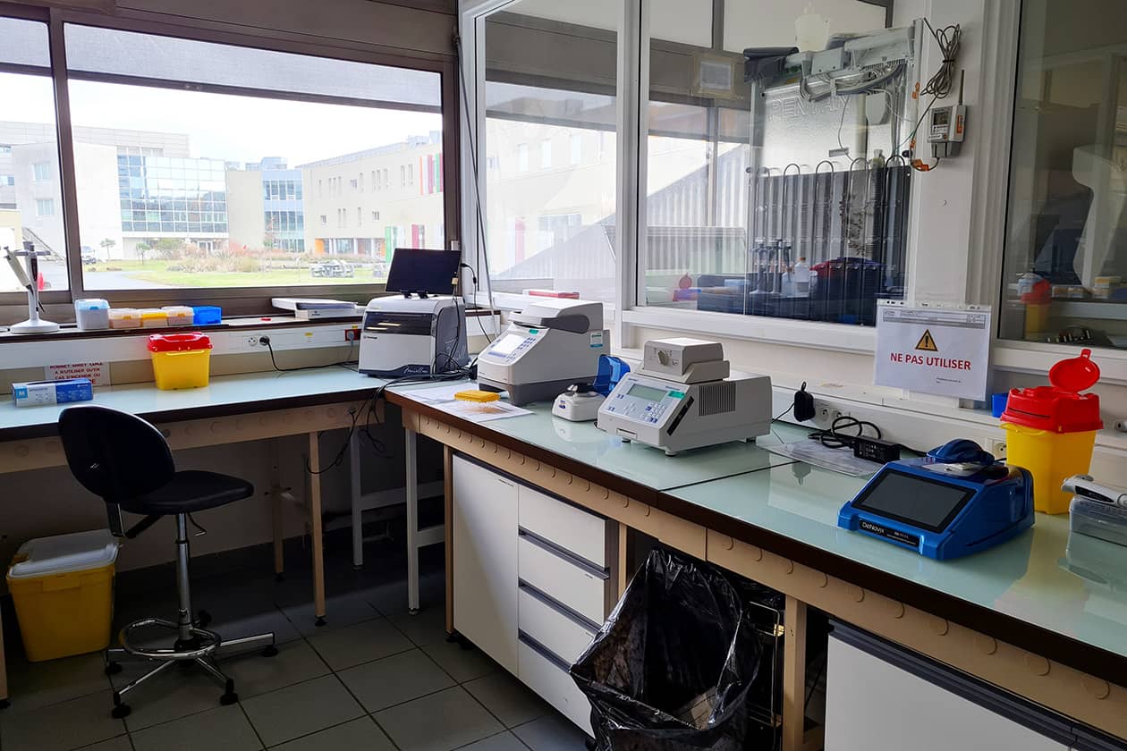 <hr>Laboratoire pour l’extraction d’ARN.