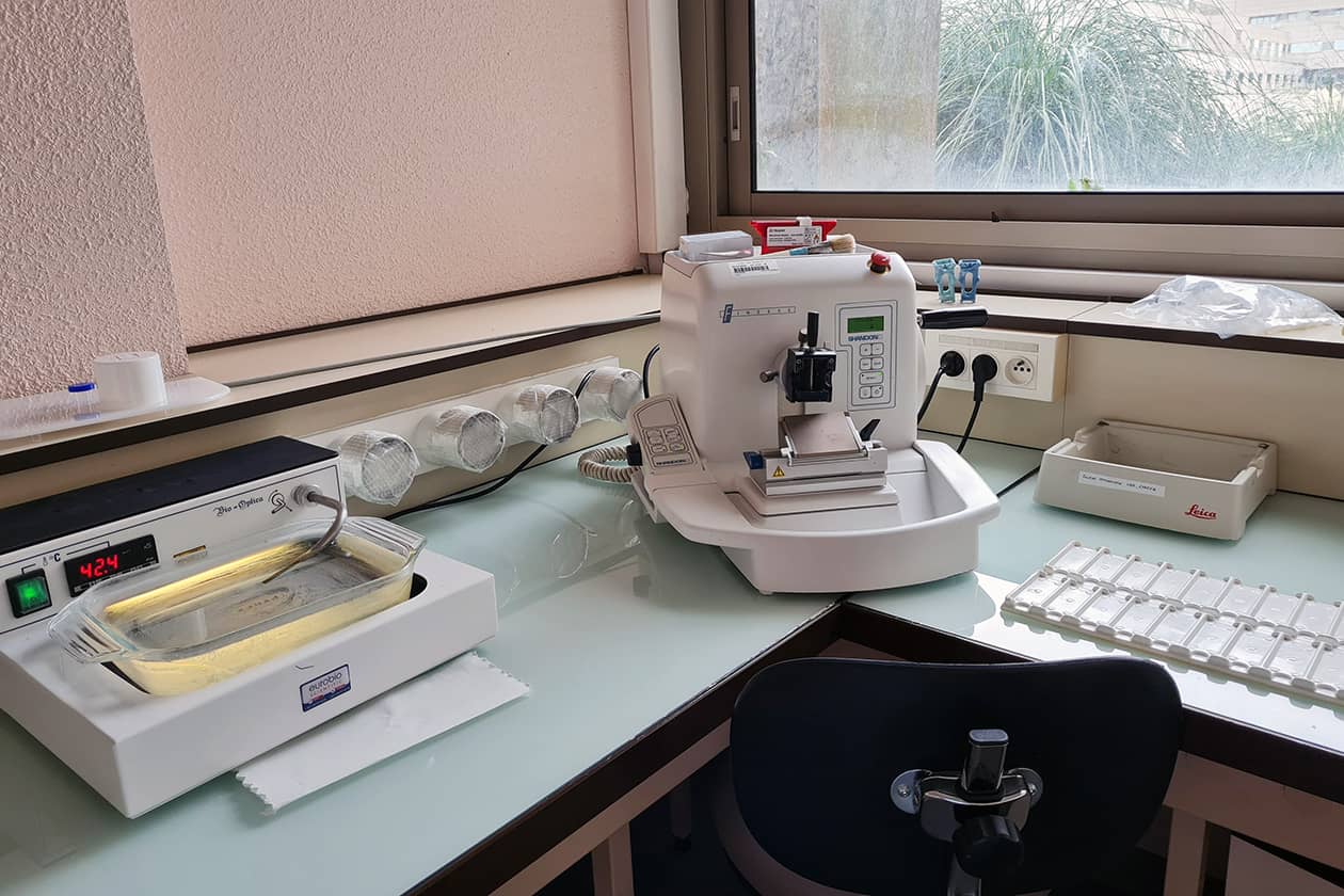 <hr>Laboratoire pour la réalisation de coupes au microtome.