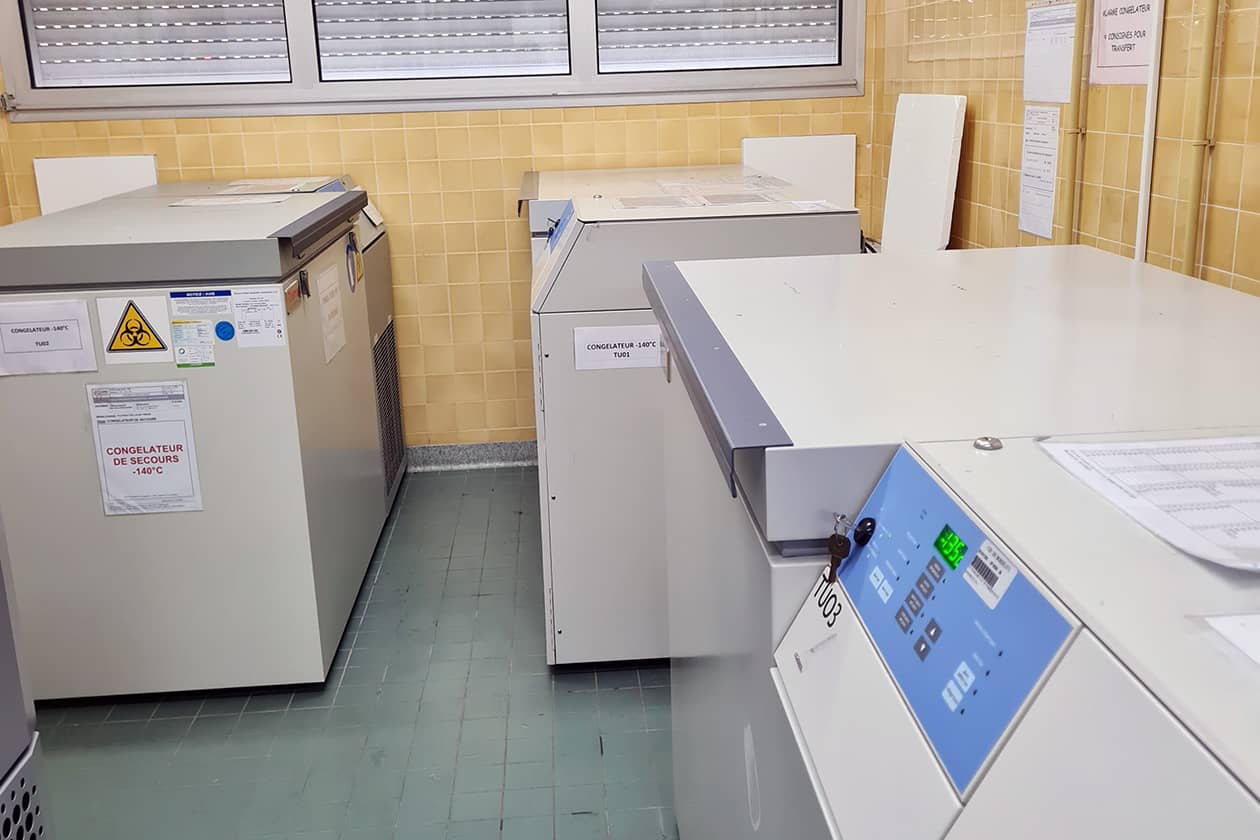<hr>Zone de stockage des échantillons à -140°C.