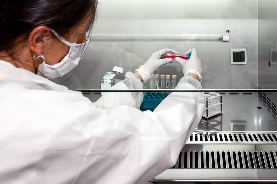 <hr>Préparation d'un milieu d'échantillon sous hotte à flux laminaire.