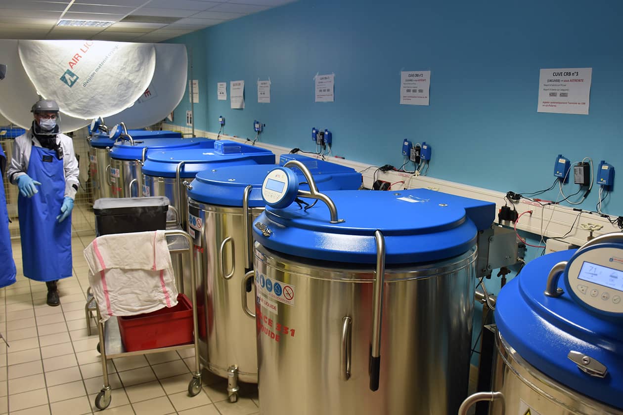 <hr>Cuves d’azote liquide à remplissage automatique pour la conservation de cellules en DMSO.