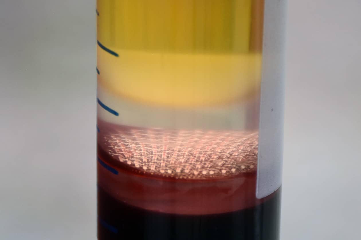 <hr>Isolement de PBMC après séparation sur gradient de Ficoll.