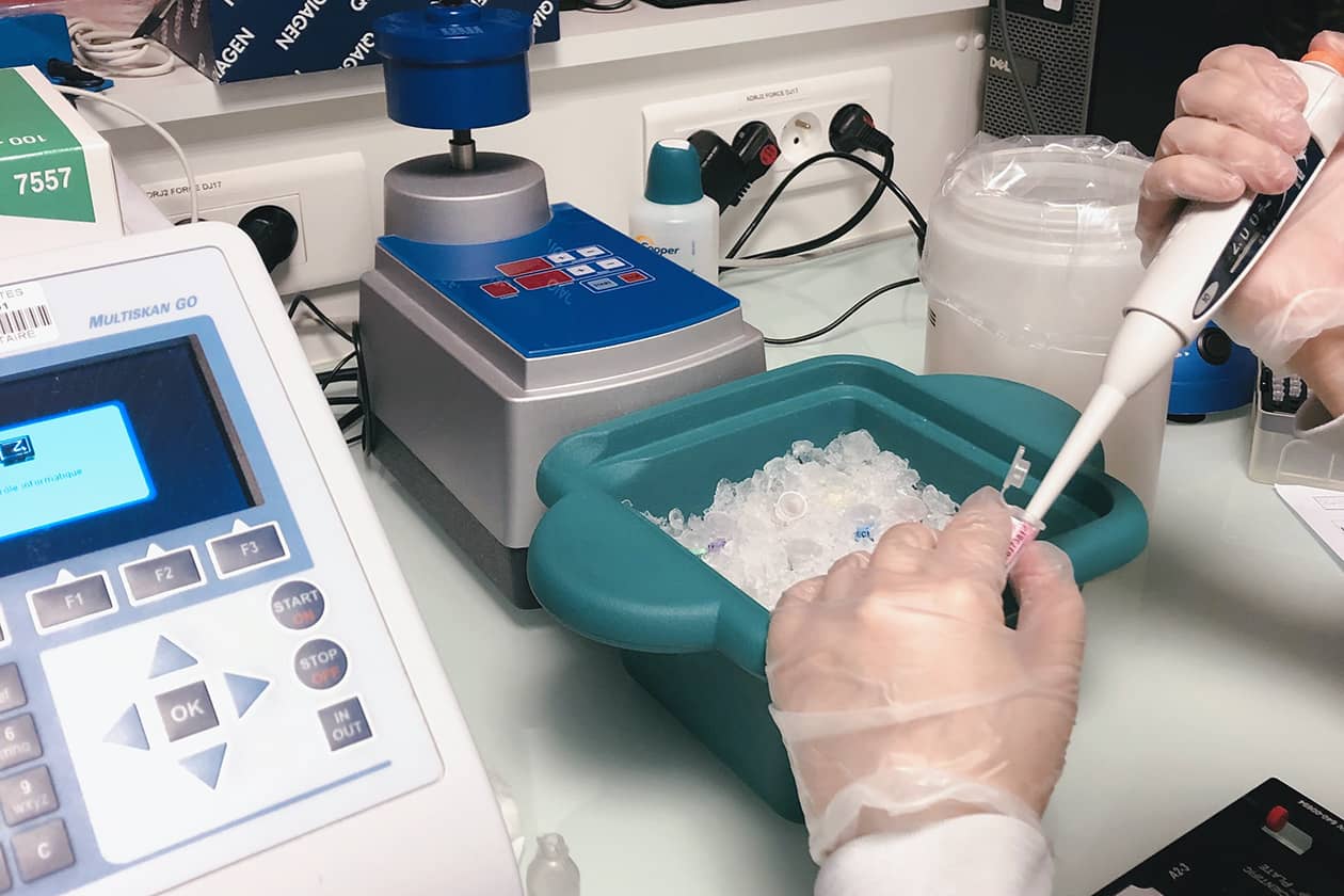 <hr>Dosage spectrophotométrique d’extraits d’acides nucléiques.
