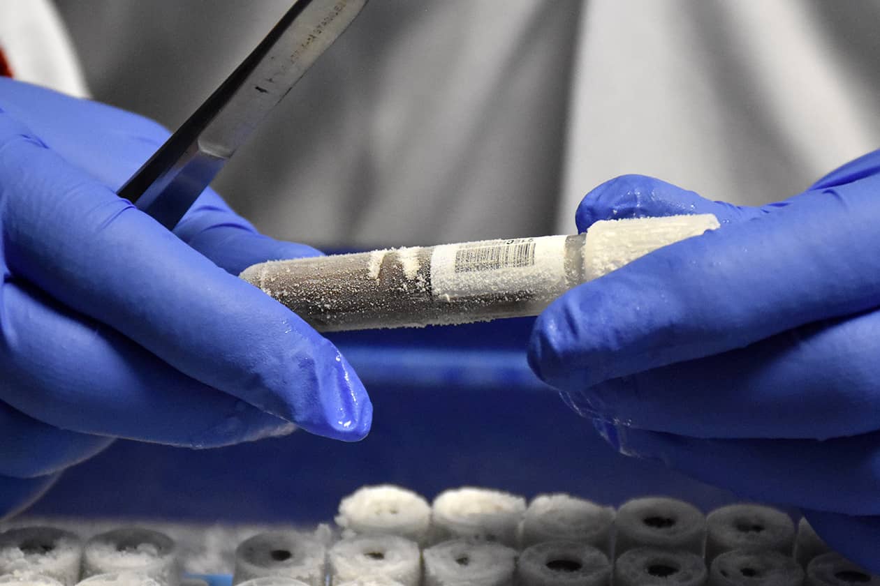 <hr>Vérification de l’étiquetage de prélèvements arrivés congelés.