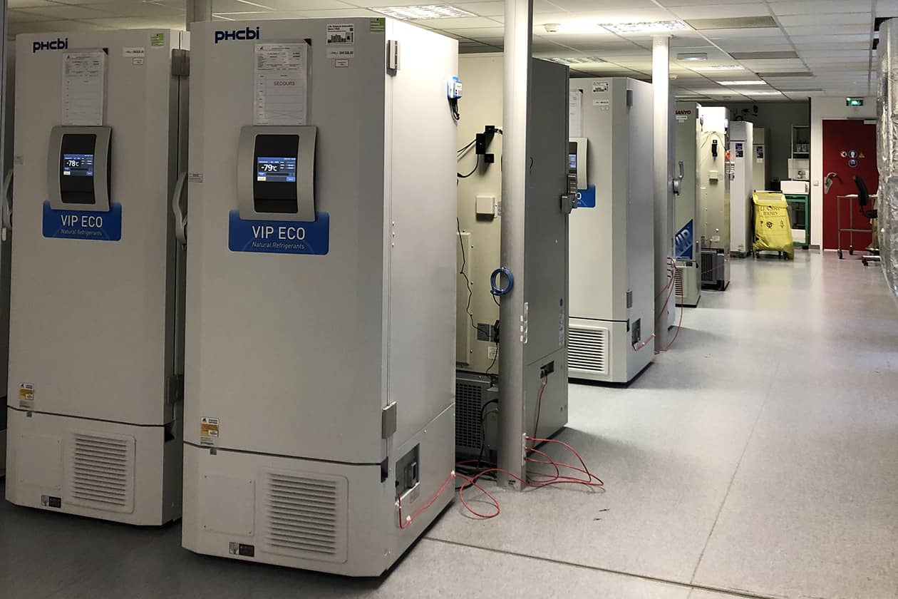 <hr>Salle des congélateurs à -25°C ou -80°C, surveillés 24h/24.