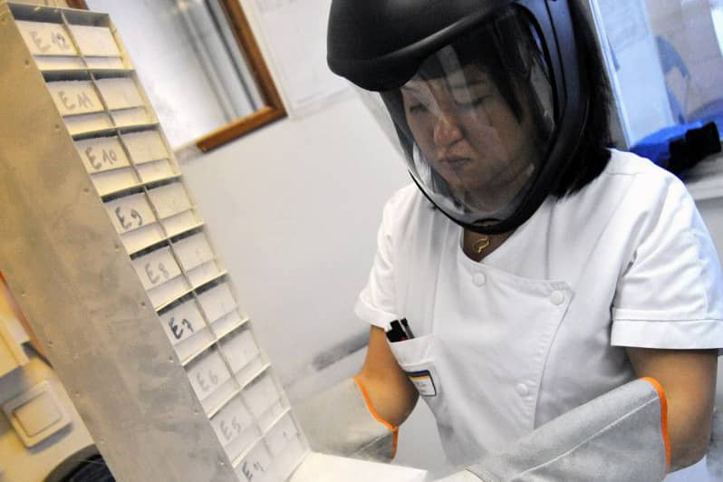 <hr>Les échantillons congelés sont stockés dans des congélateurs ou des cuves d'azote en phase vapeur avec température contrôlée.