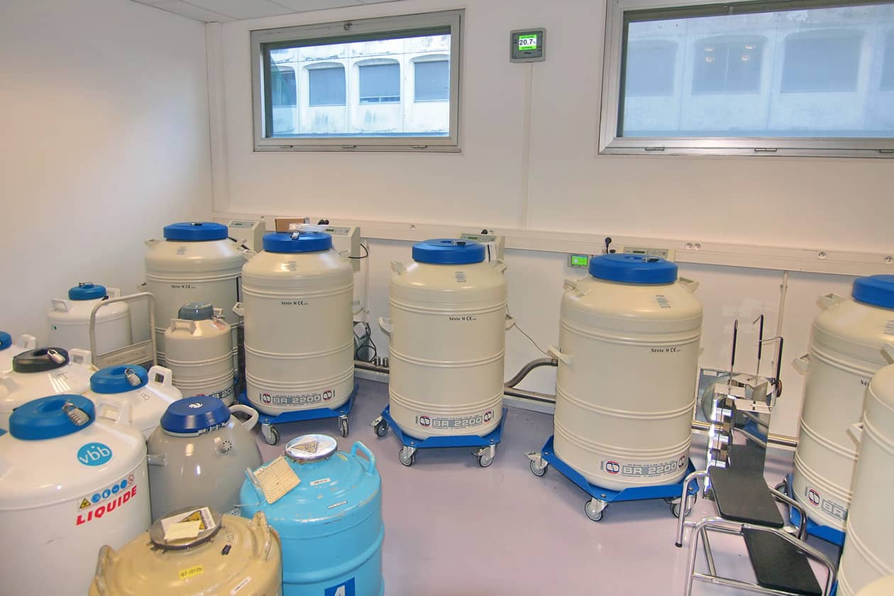 <hr>Cuves d’azote pour le stockage de tubes et paillettes CBS.