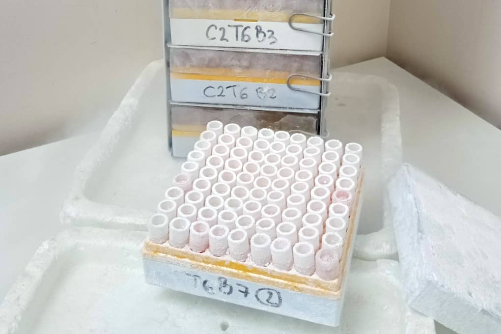 <hr>Rack le pour stockage de cryoboites sous azote.