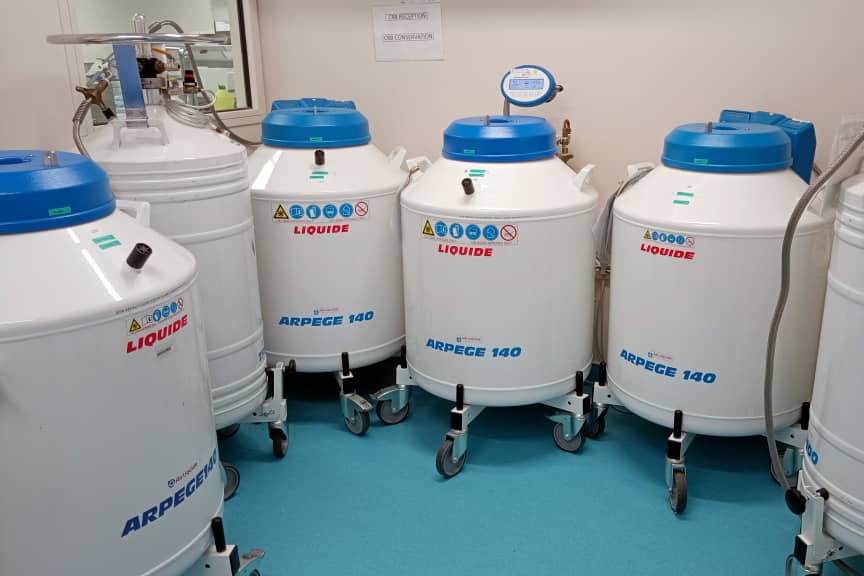 <hr>Cuves d’azote liquide.