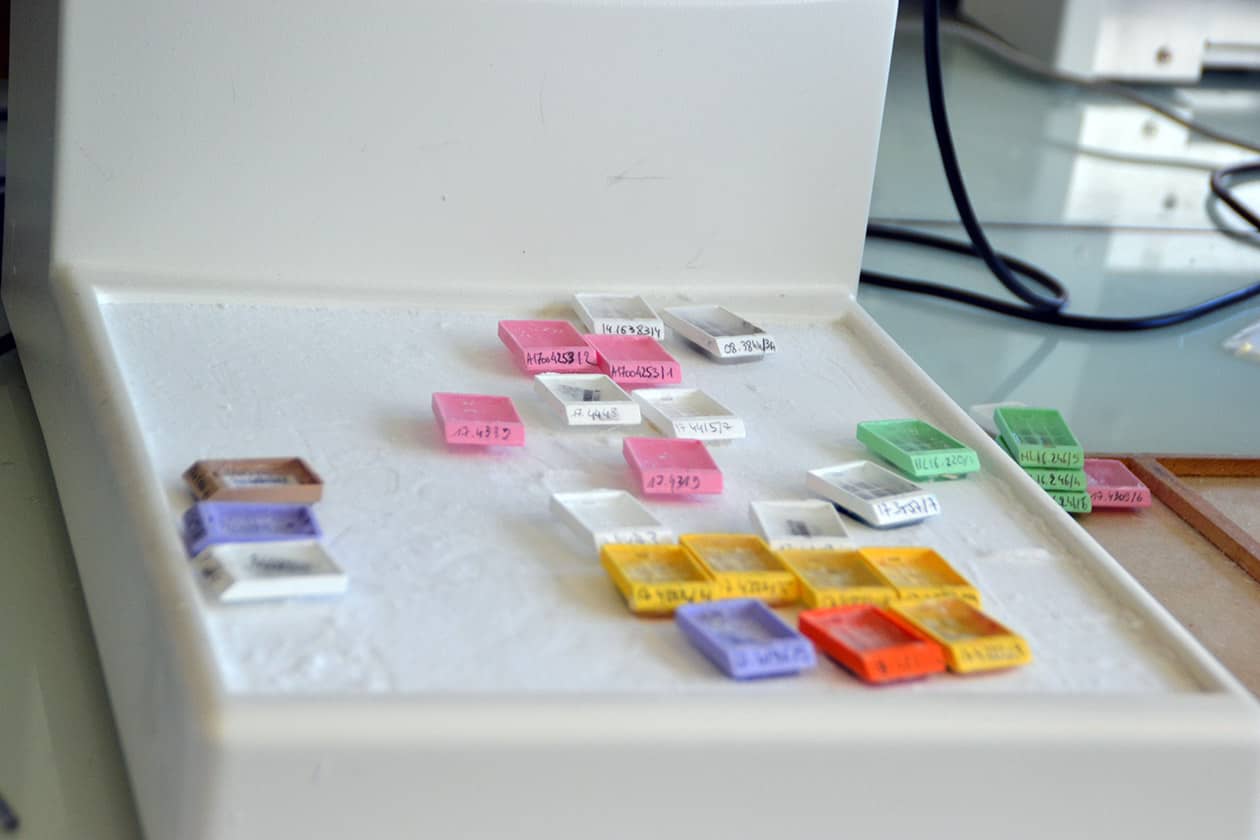 <hr>Blocs de paraffine utilisés requalifiés pour la recherche.