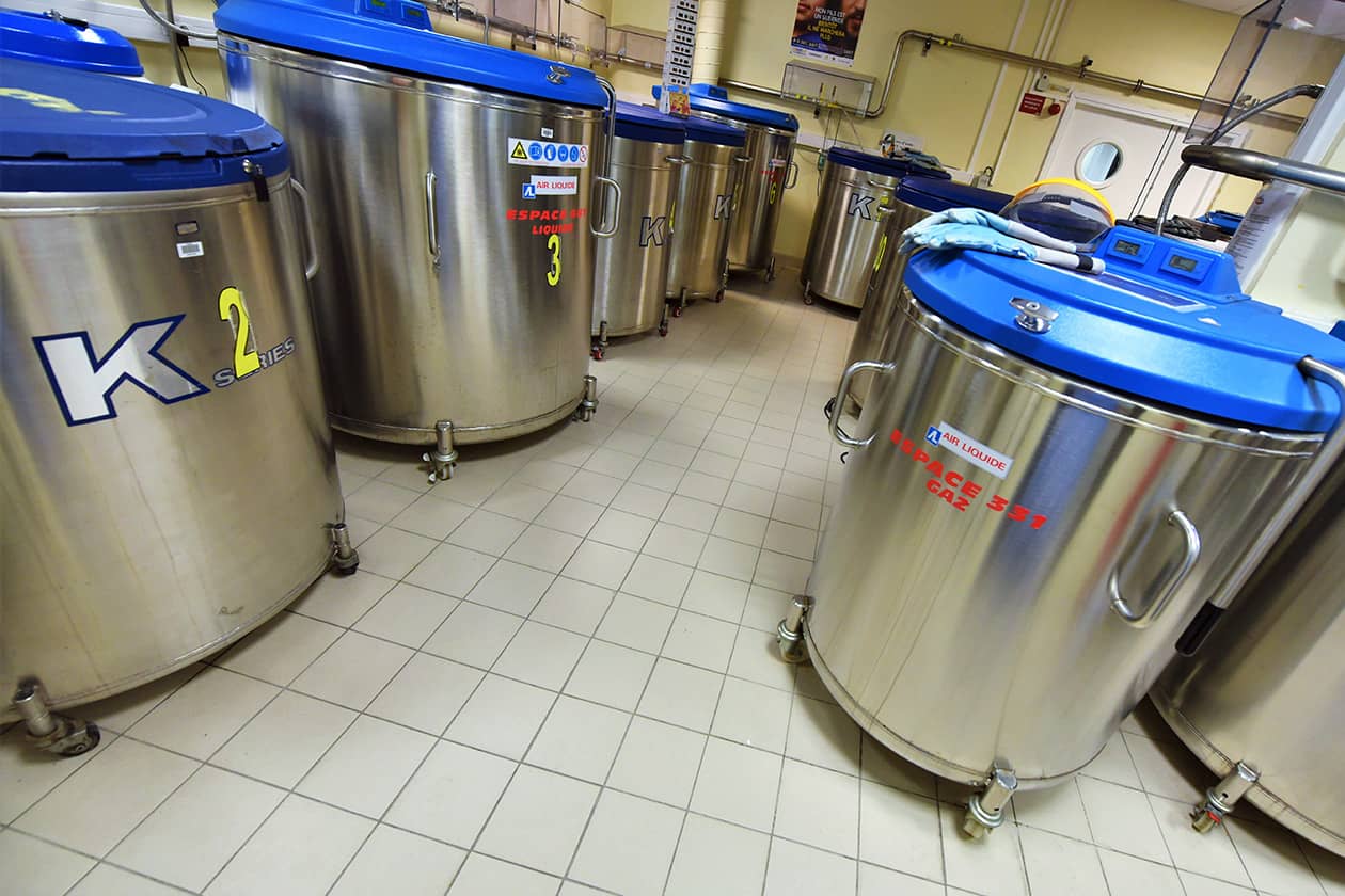 <hr>Salle de cryoconservation des échantillons.