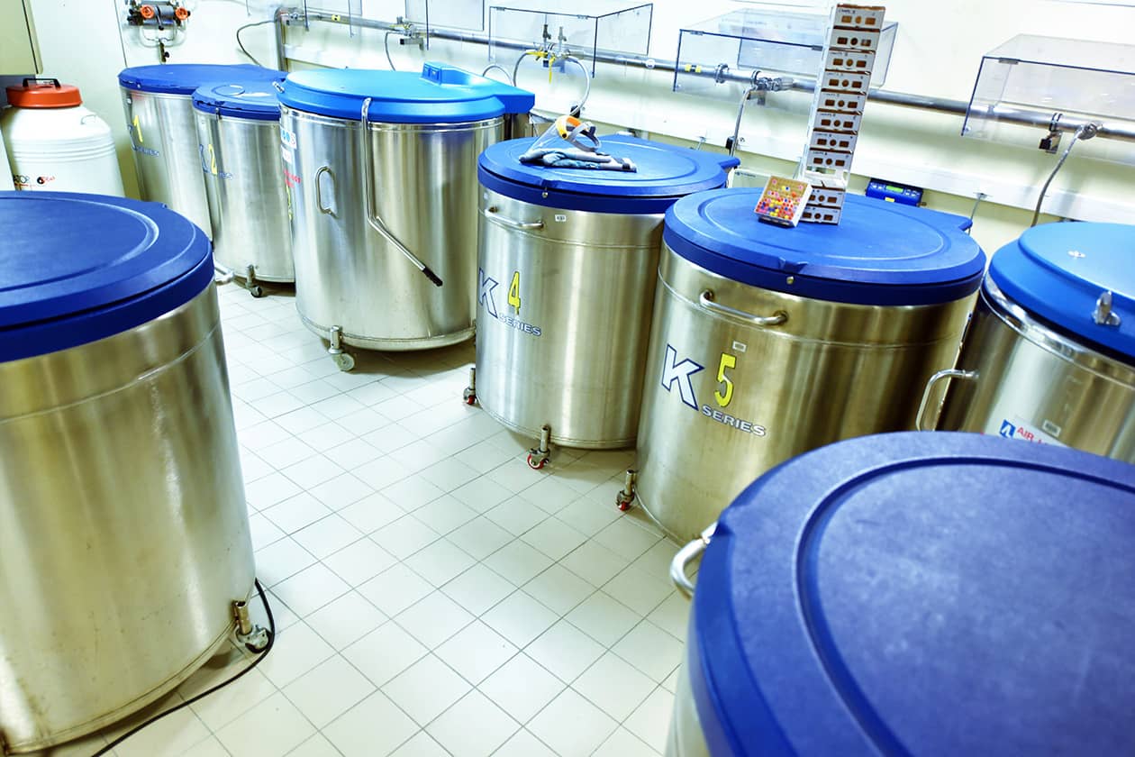 <hr>Salle de cryoconservation des échantillons.