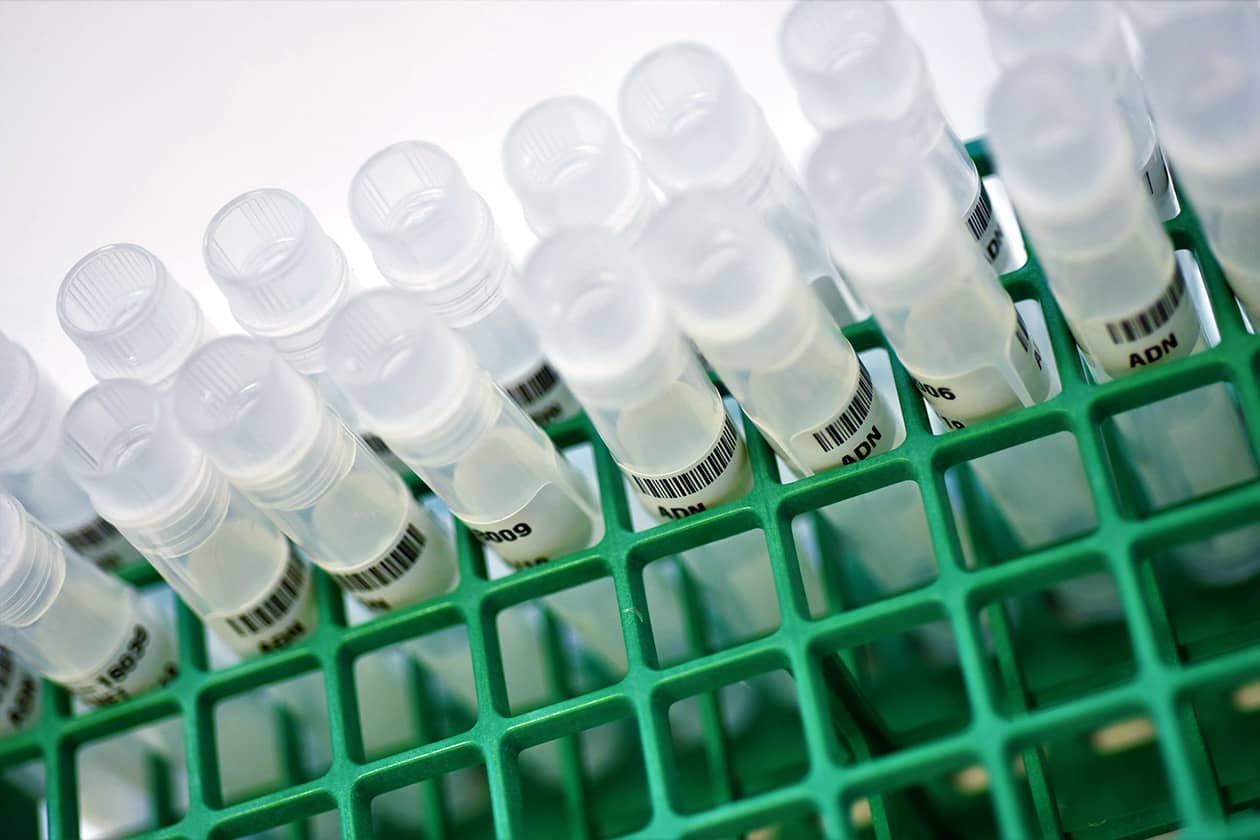 <hr>Tubes d’ADN prêts à passer les contrôles qualité.